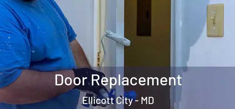 Door Replacement Ellicott City - MD
