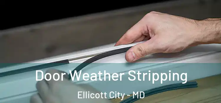 Door Weather Stripping Ellicott City - MD