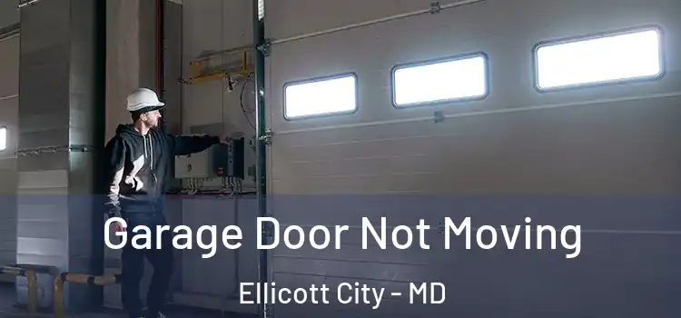  Garage Door Not Moving Ellicott City - MD