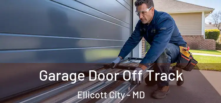  Garage Door Off Track Ellicott City - MD
