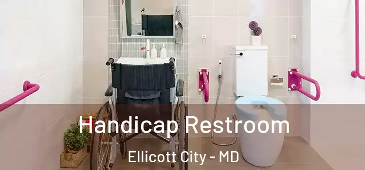 Handicap Restroom Ellicott City - MD