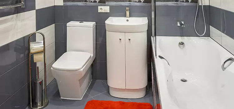 Hansgrohe Shaving Mirror Ellicott City