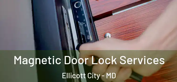 Magnetic Door Lock Services Ellicott City - MD